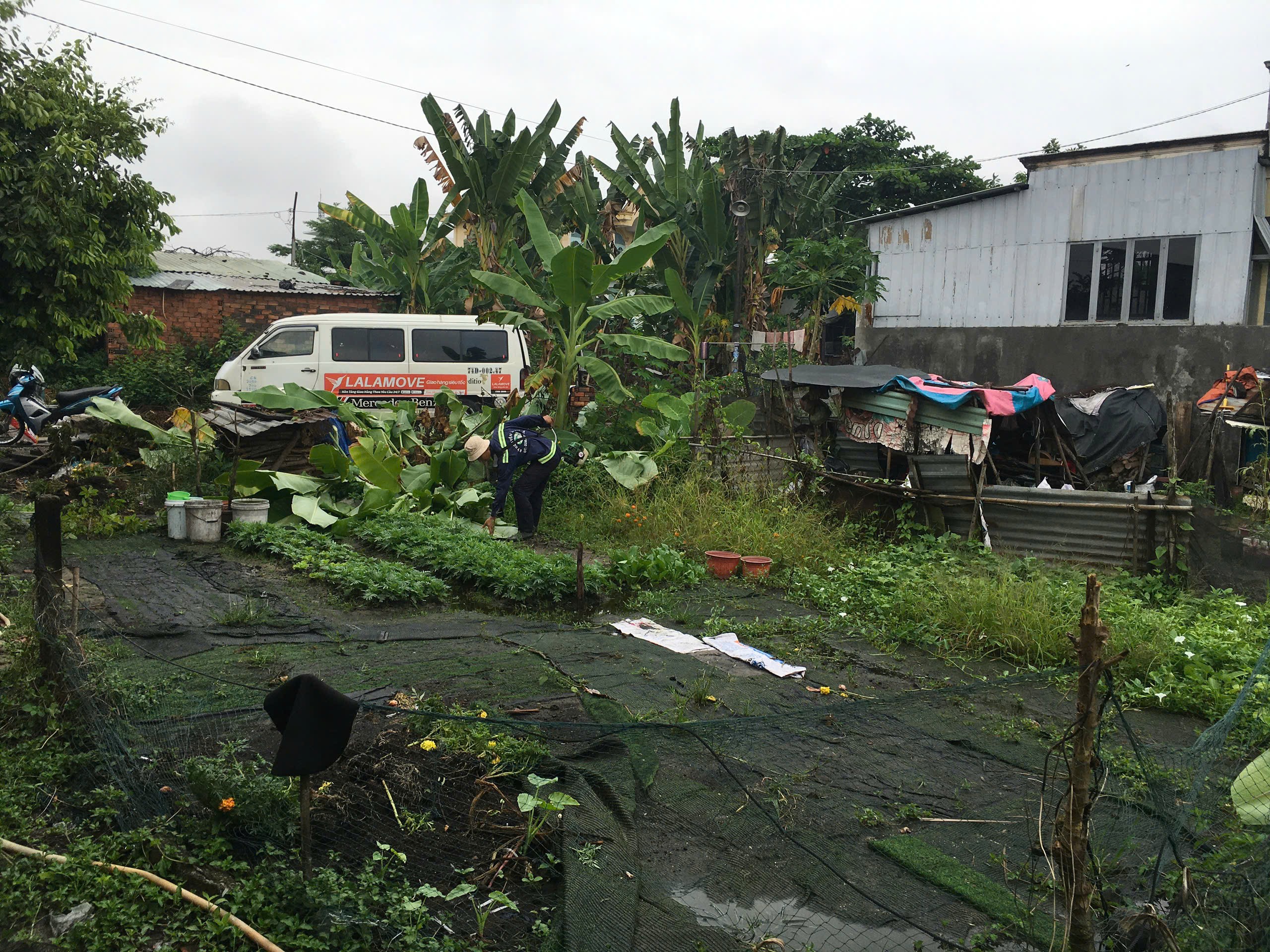 Cần bán Đất Phường Long Thạnh Mỹ, Quận 9, Diện tích 1067m², Giá 26 Tỷ 5