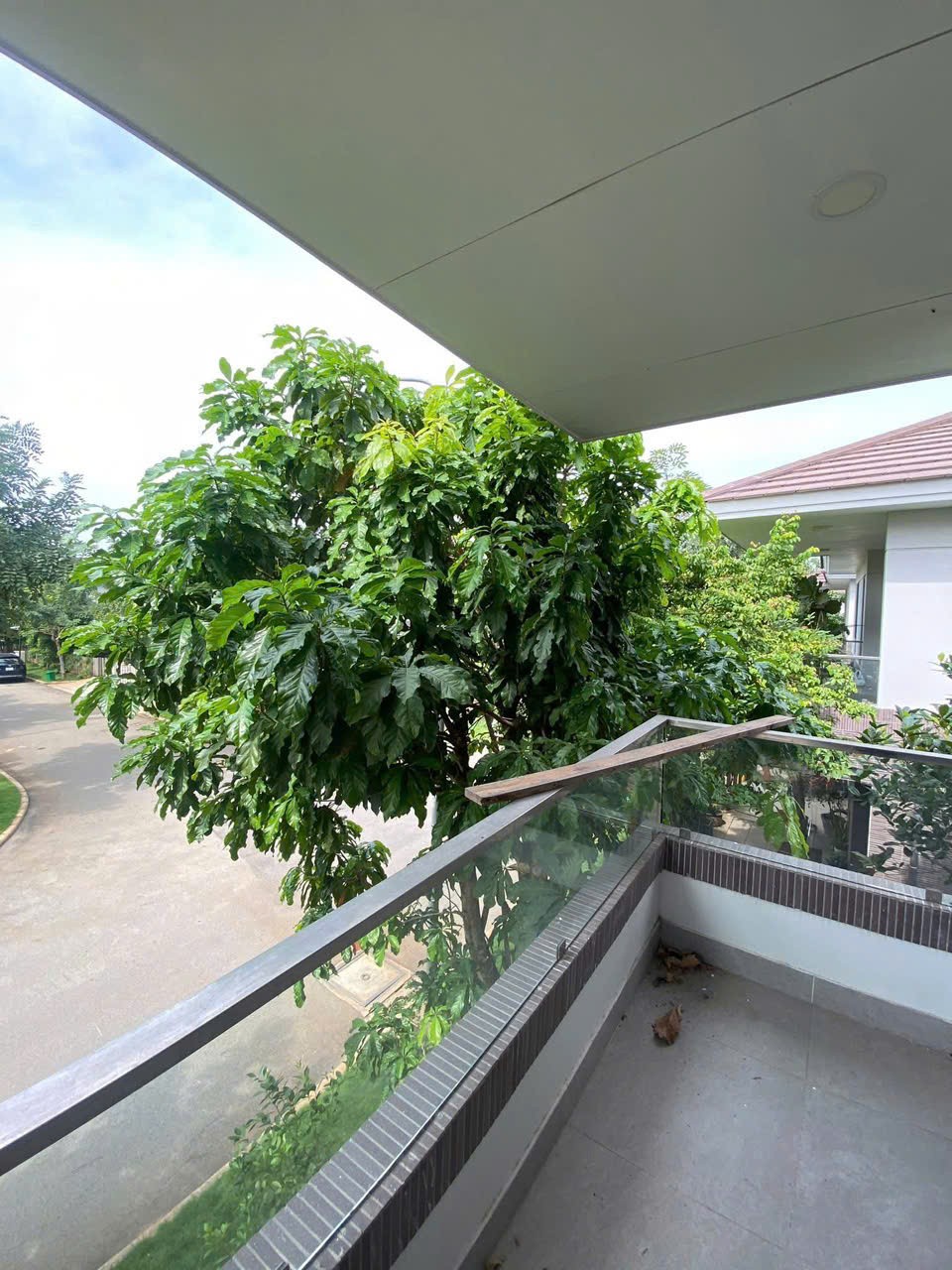 Cho thuê Biệt thự Phường Phú Hữu, Quận 9, Diện tích 195m², Giá 38 Triệu/tháng 9