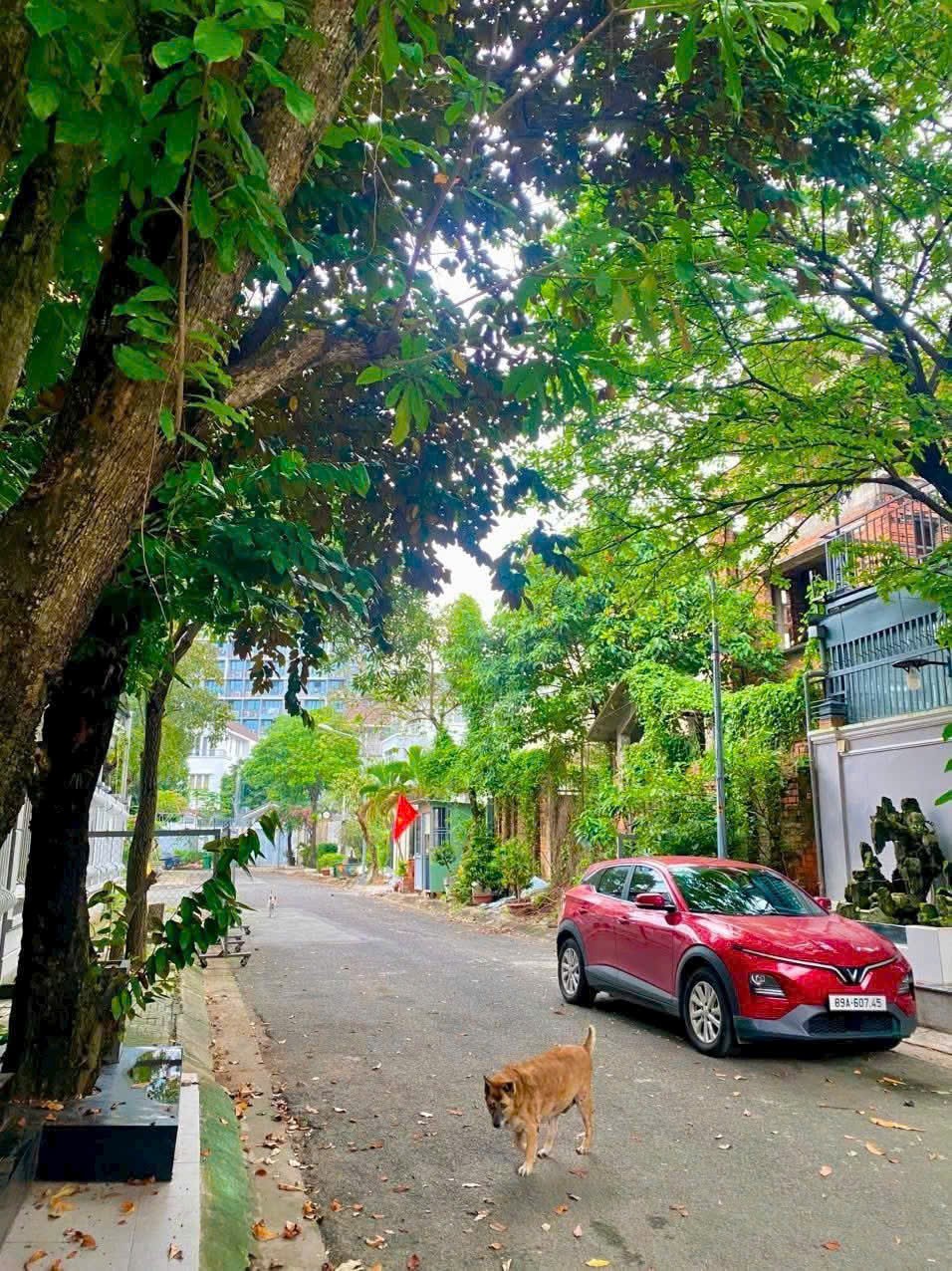 Cần bán Nhà mặt tiền Quận 2, Hồ Chí Minh, Diện tích 270m², Giá 055 Tỷ 3