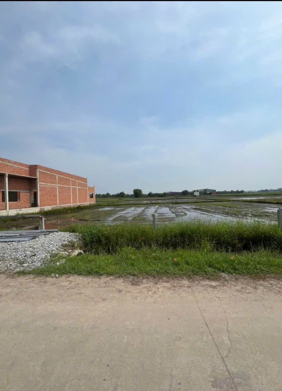 Bán đất nền thổ cư , đường beton xã Đức Lập Hạ dt 160m2 giá 1,1 tỷ 3