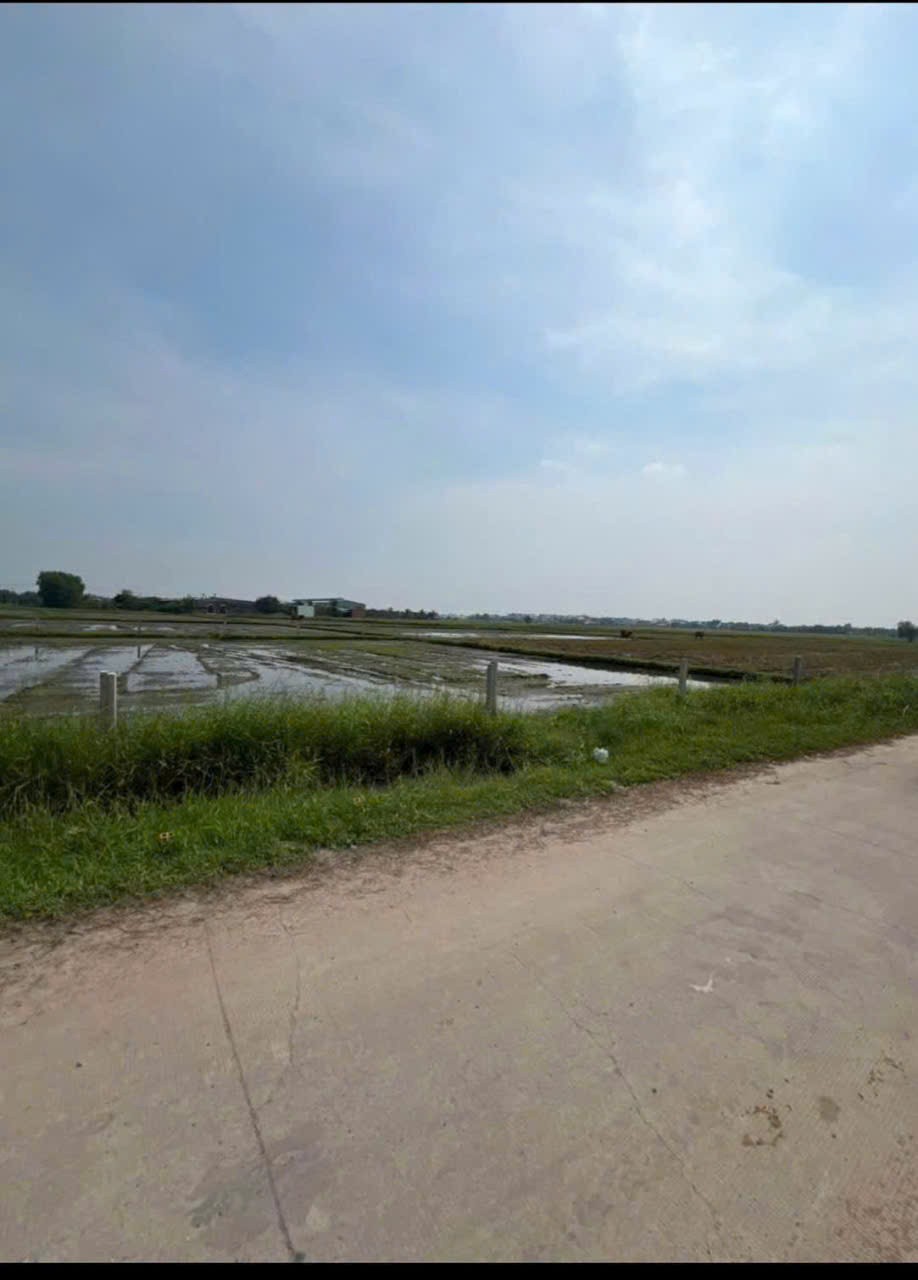 Bán đất nền thổ cư , đường beton xã Đức Lập Hạ dt 160m2 giá 1,1 tỷ 5