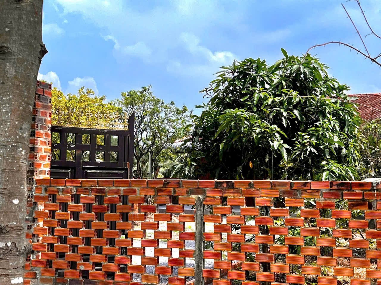 Bán nhà gỗ xã Tân Thông Hội tdt 480m2 ( 300m2 thổ) 2pn 1wc giá 4,2 tỷ 2