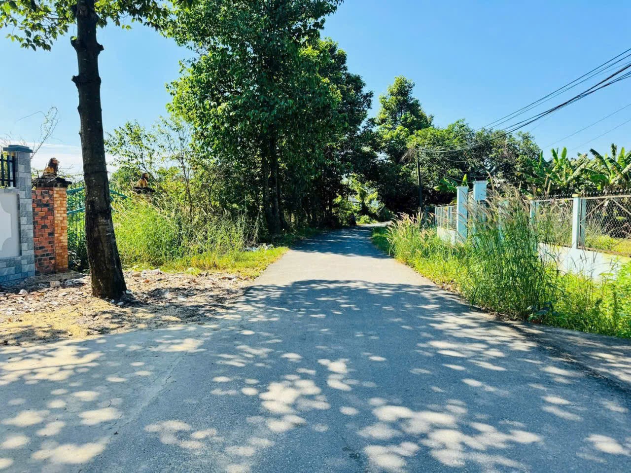 Bán nhà gỗ xã Tân Thông Hội tdt 480m2 ( 300m2 thổ) 2pn 1wc giá 4,2 tỷ 4