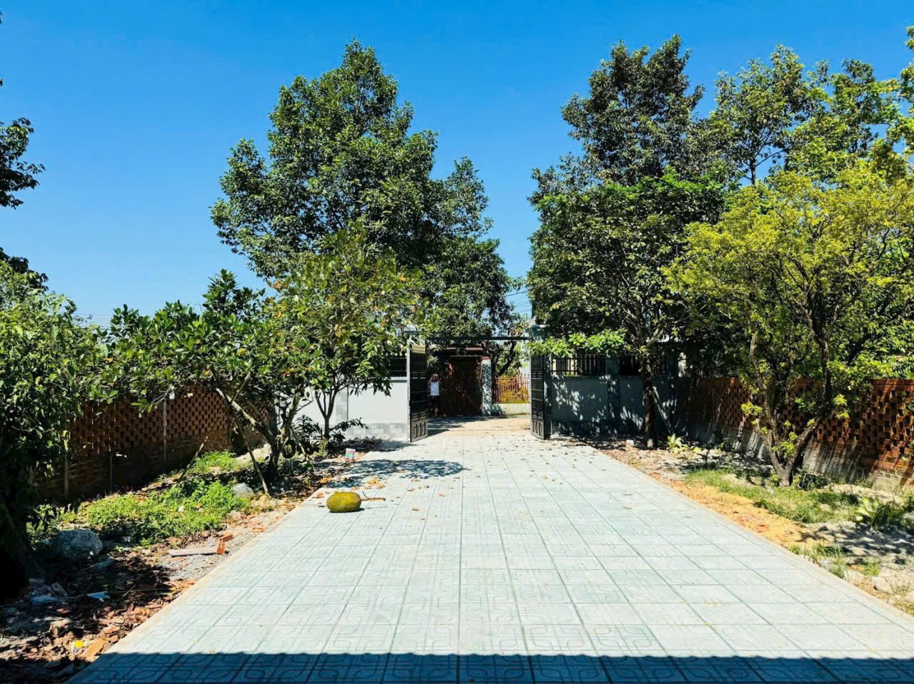 Bán nhà gỗ xã Tân Thông Hội tdt 480m2 ( 300m2 thổ) 2pn 1wc giá 4,2 tỷ 5