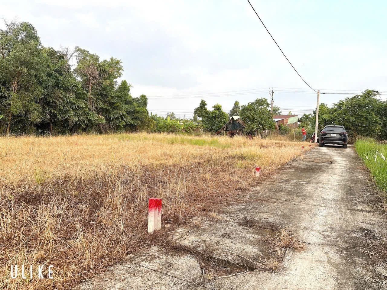 Bán 8 lô thổ cư xã Mỹ Lộc, Cần Giuộc dt 103.5m2 giá 860 triệu / lô 2