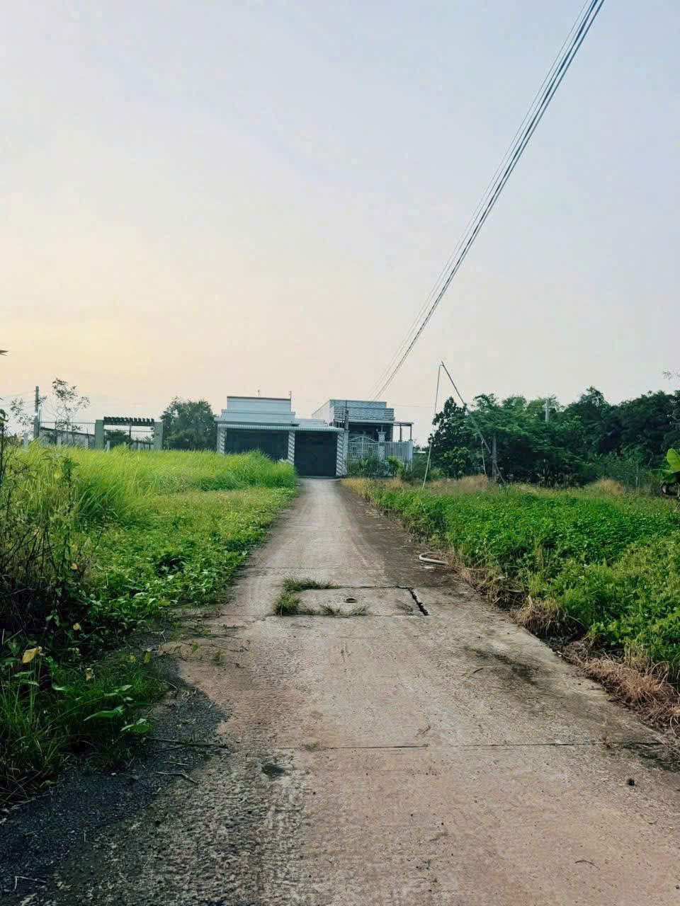 Bán 8 lô thổ cư xã Mỹ Lộc, Cần Giuộc dt 103.5m2 giá 860 triệu / lô 4