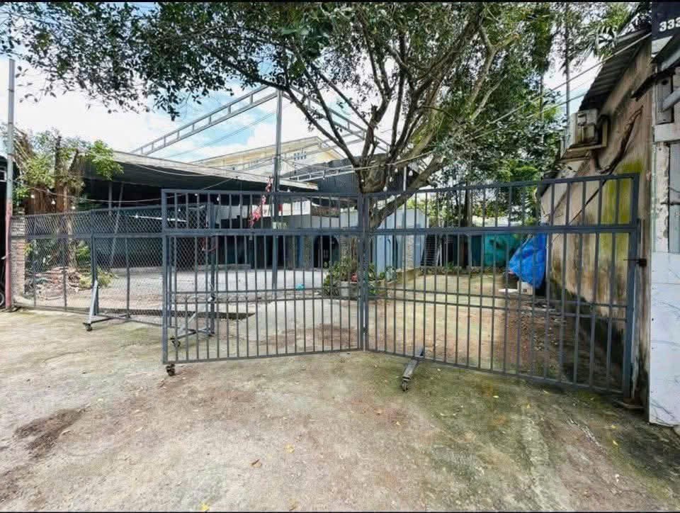 Cho thuê mặt 10m bằng vị trí đẹp mặt tiền đường Lý Tự Trọng Ninh Kiều Cần Thơ