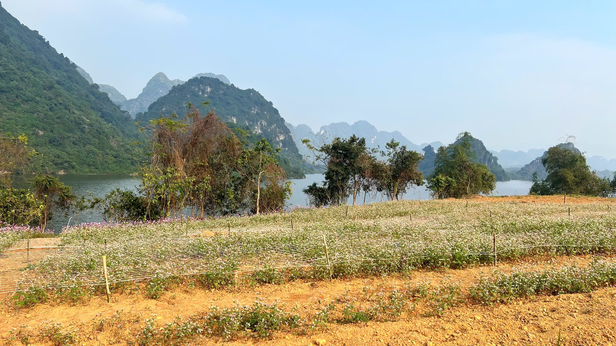 Cần bán nhà đất dự án UTOPIA HÒA BÌNH – THIÊN ĐƯỜNG NGHỈ DƯỠNG GIỮA LÒNG THIÊN NHIÊNLoại hình 2