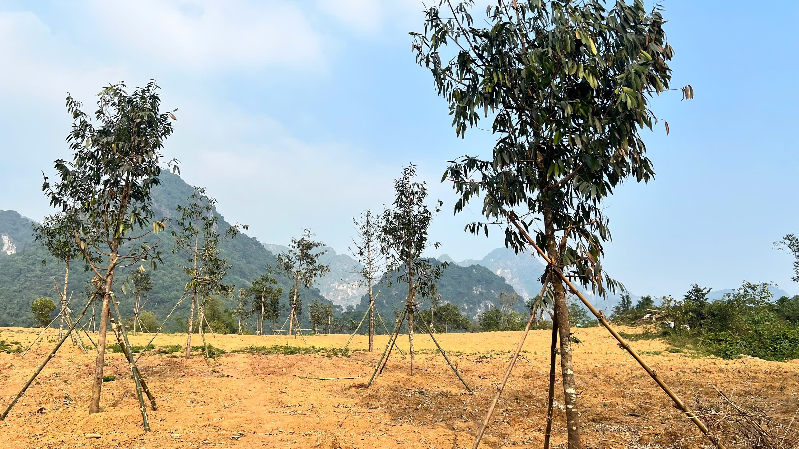 Cần bán nhà đất dự án UTOPIA HÒA BÌNH – THIÊN ĐƯỜNG NGHỈ DƯỠNG GIỮA LÒNG THIÊN NHIÊNLoại hình 3