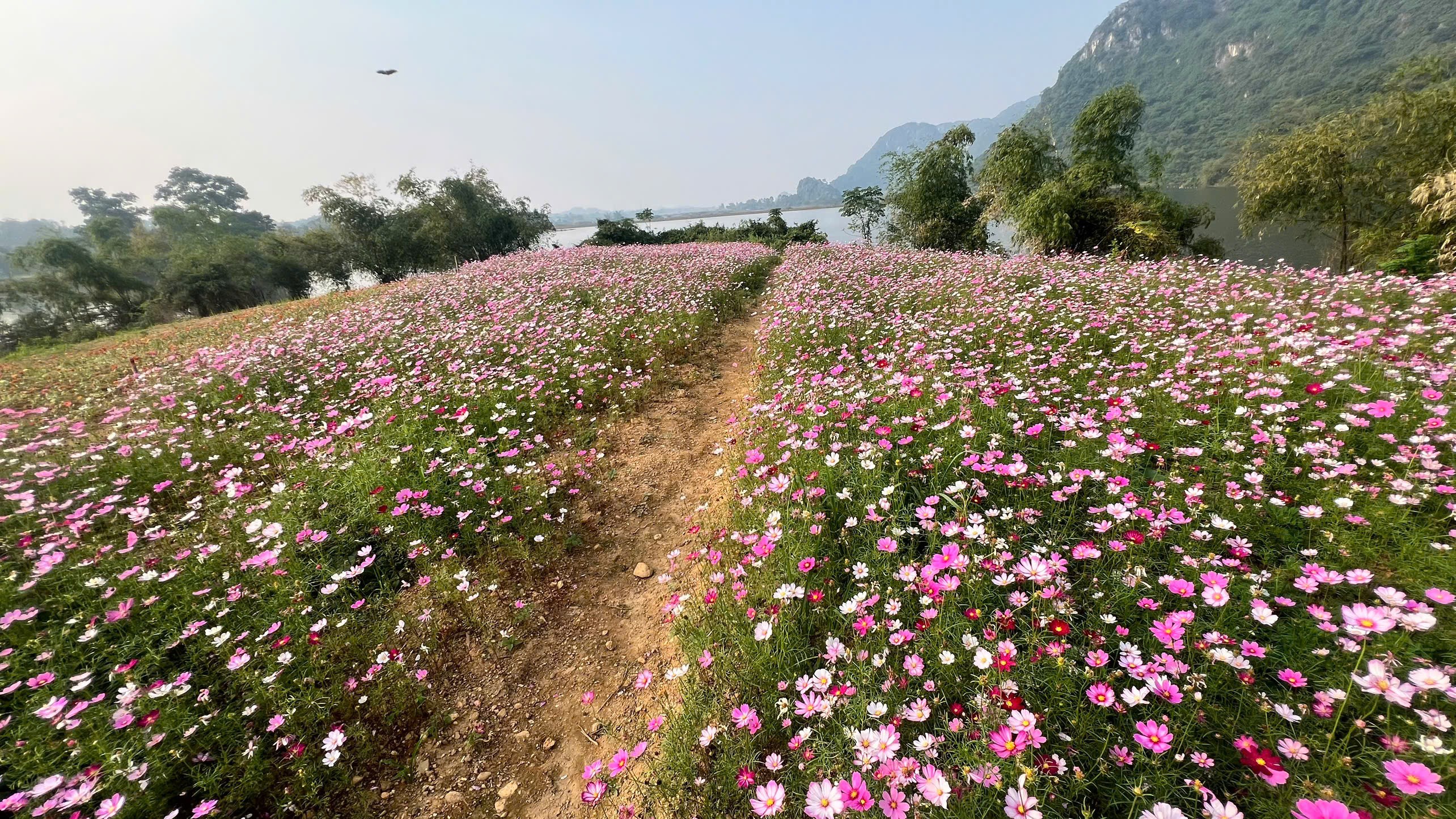Cần bán nhà đất dự án UTOPIA HÒA BÌNH – THIÊN ĐƯỜNG NGHỈ DƯỠNG GIỮA LÒNG THIÊN NHIÊNLoại hình 4