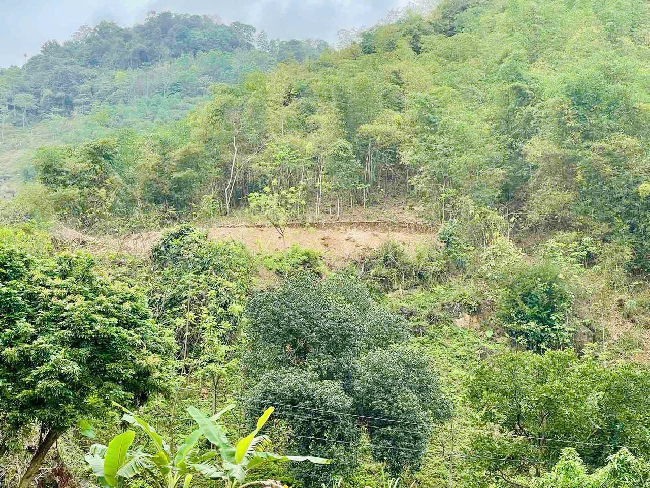 Cần bán Đất Xã Vầy Nưa, Đà Bắc, Diện tích 2248m², Giá 4.6 Tỷ 5