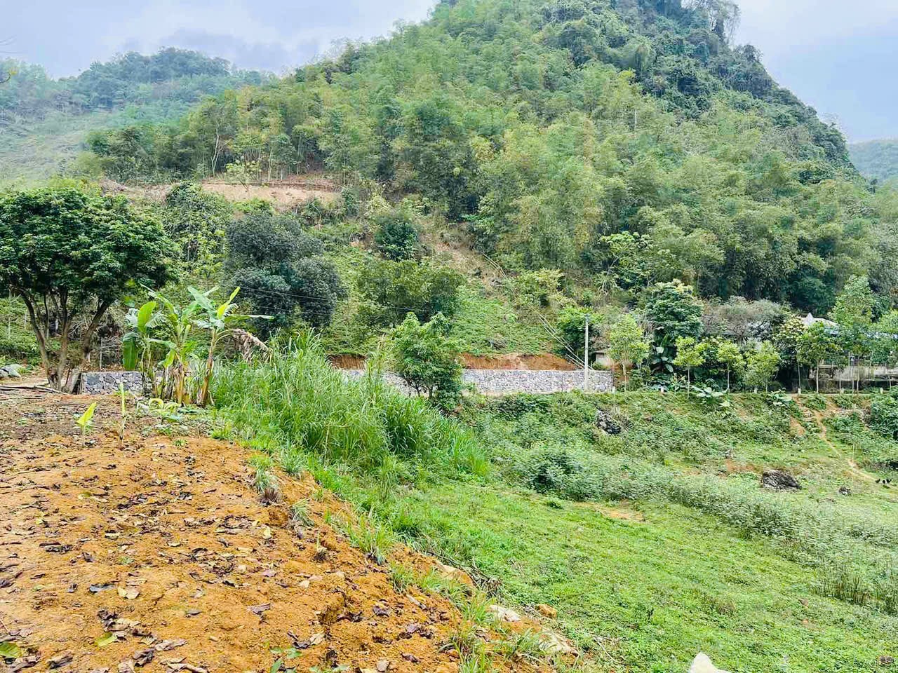 Cần bán Đất Xã Vầy Nưa, Đà Bắc, Diện tích 2248m², Giá 4.6 Tỷ 7