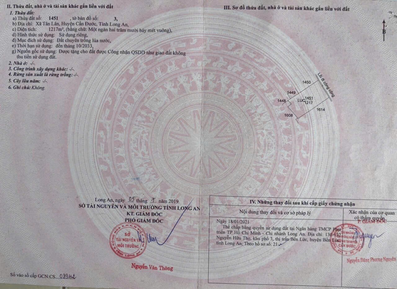 Đất lúa 1000m2 có sẵn nhà vườn mt xe hơi xã Tân Lân giá đầu tư 2 tỏi 5 8