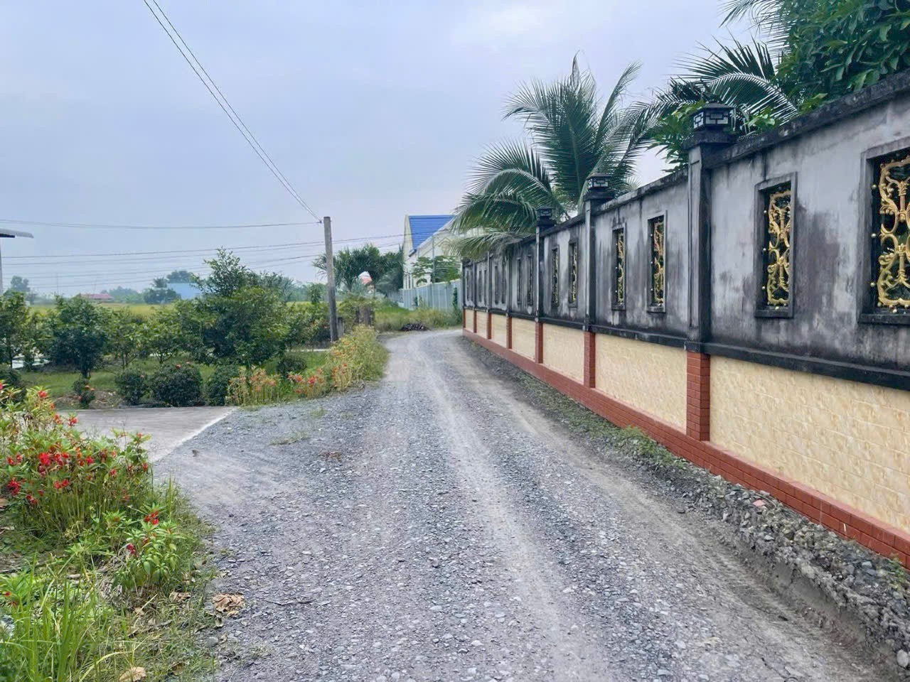 Đất lúa 1000m2 có sẵn nhà vườn mt xe hơi xã Tân Lân giá đầu tư 2 tỏi 5