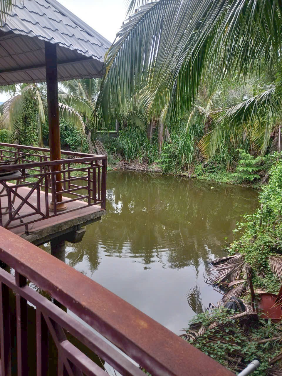 Đất lúa 1000m2 có sẵn nhà vườn mt xe hơi xã Tân Lân giá đầu tư 2 tỏi 5 2