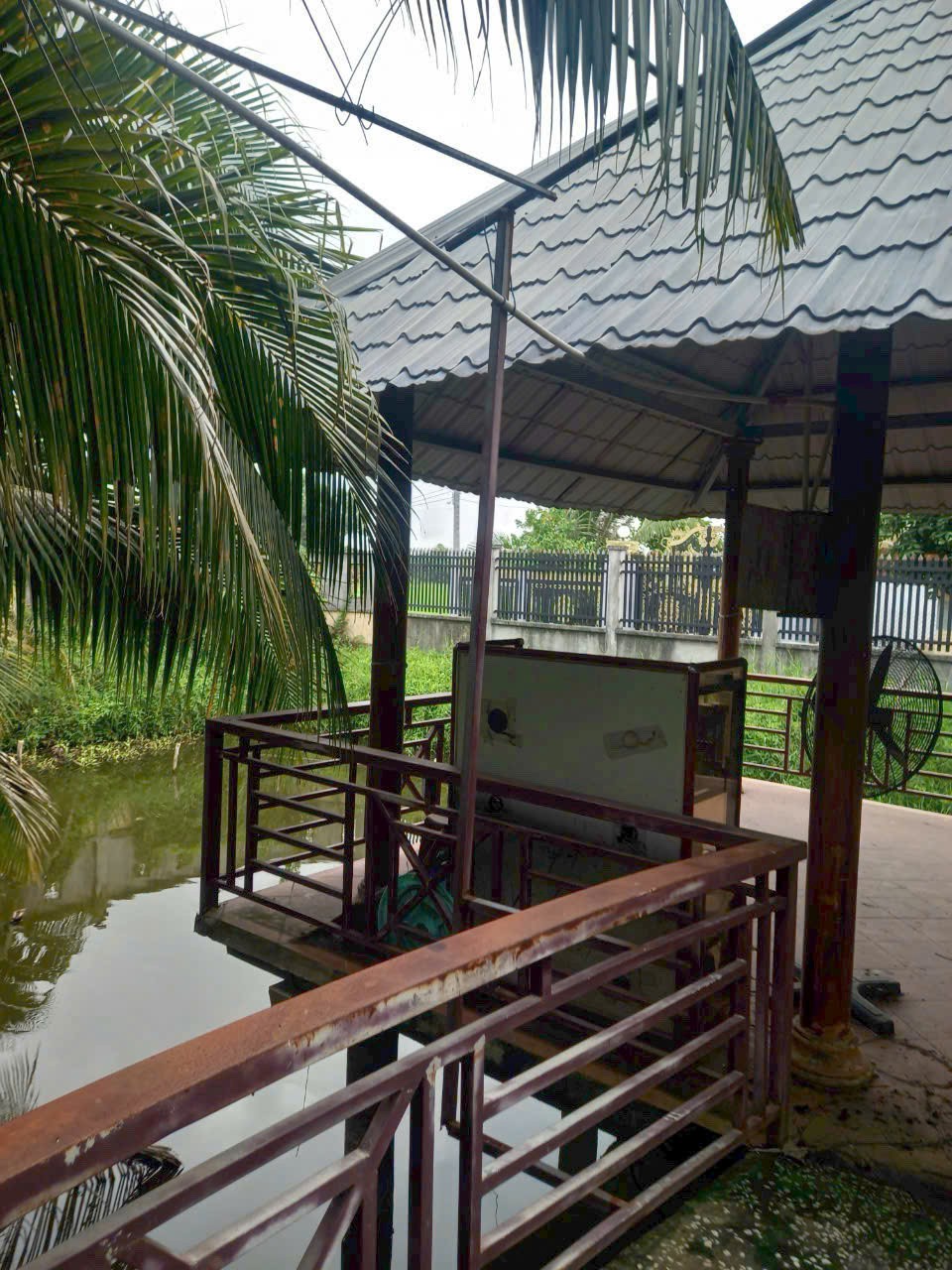 Đất lúa 1000m2 có sẵn nhà vườn mt xe hơi xã Tân Lân giá đầu tư 2 tỏi 5 3