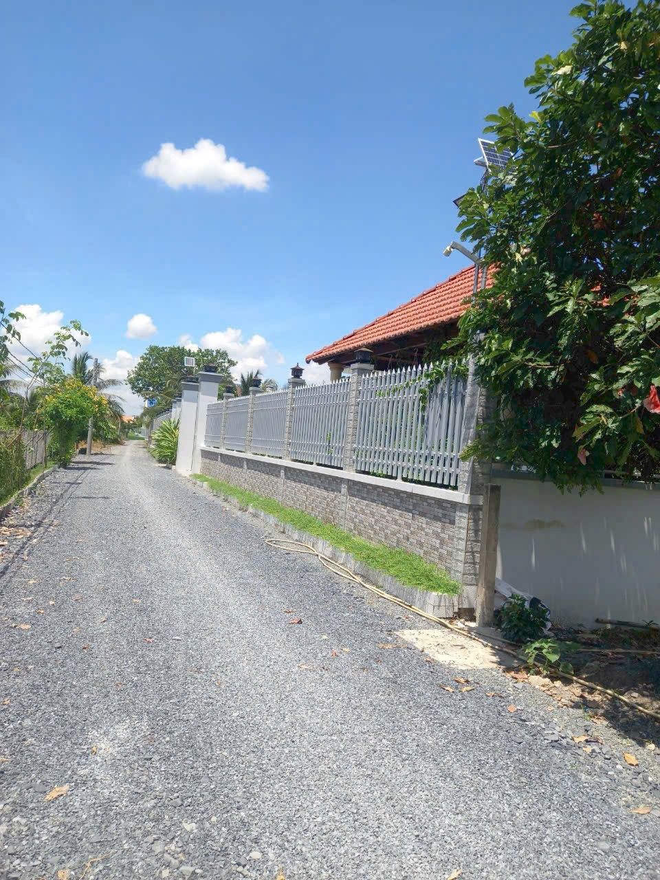 Đất lúa 1000m2 có sẵn nhà vườn mt xe hơi xã Tân Lân giá đầu tư 2 tỏi 5 7