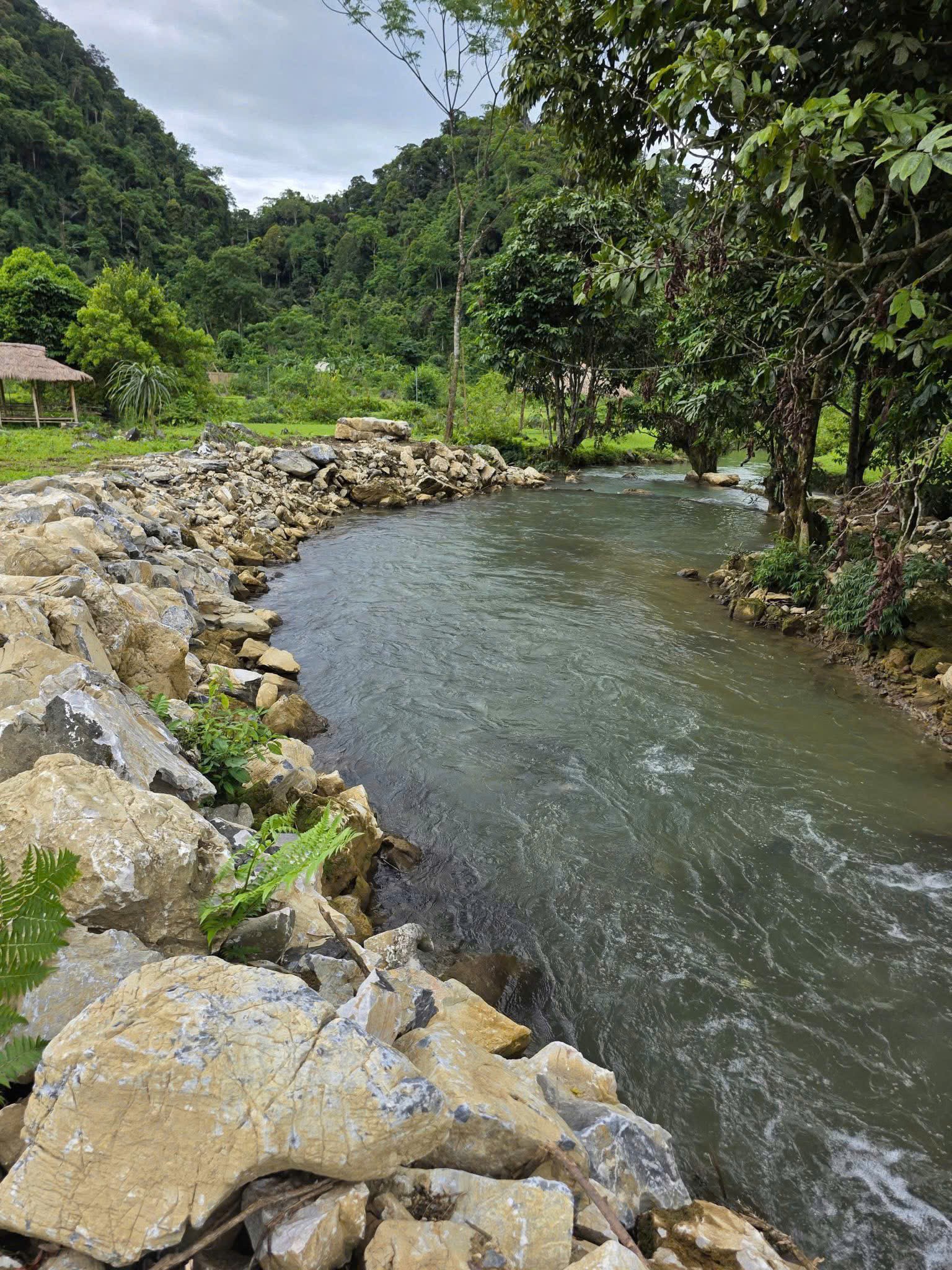 Cần bán Đất Xã Quyết Chiến, Tân Lạc, Diện tích 1200m², Giá 950 Triệu 3