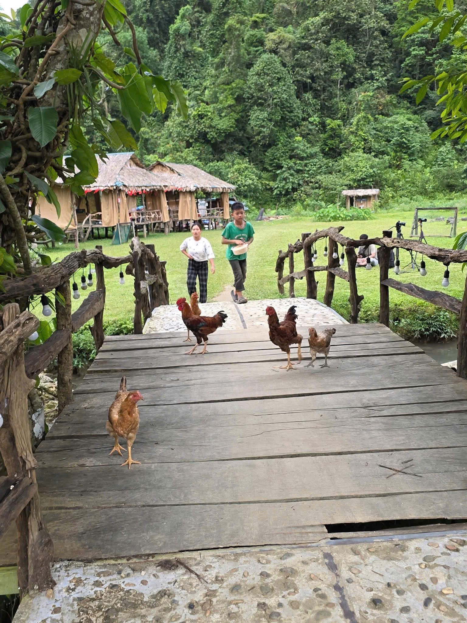 Cần bán Đất Xã Quyết Chiến, Tân Lạc, Diện tích 1200m², Giá 950 Triệu 5