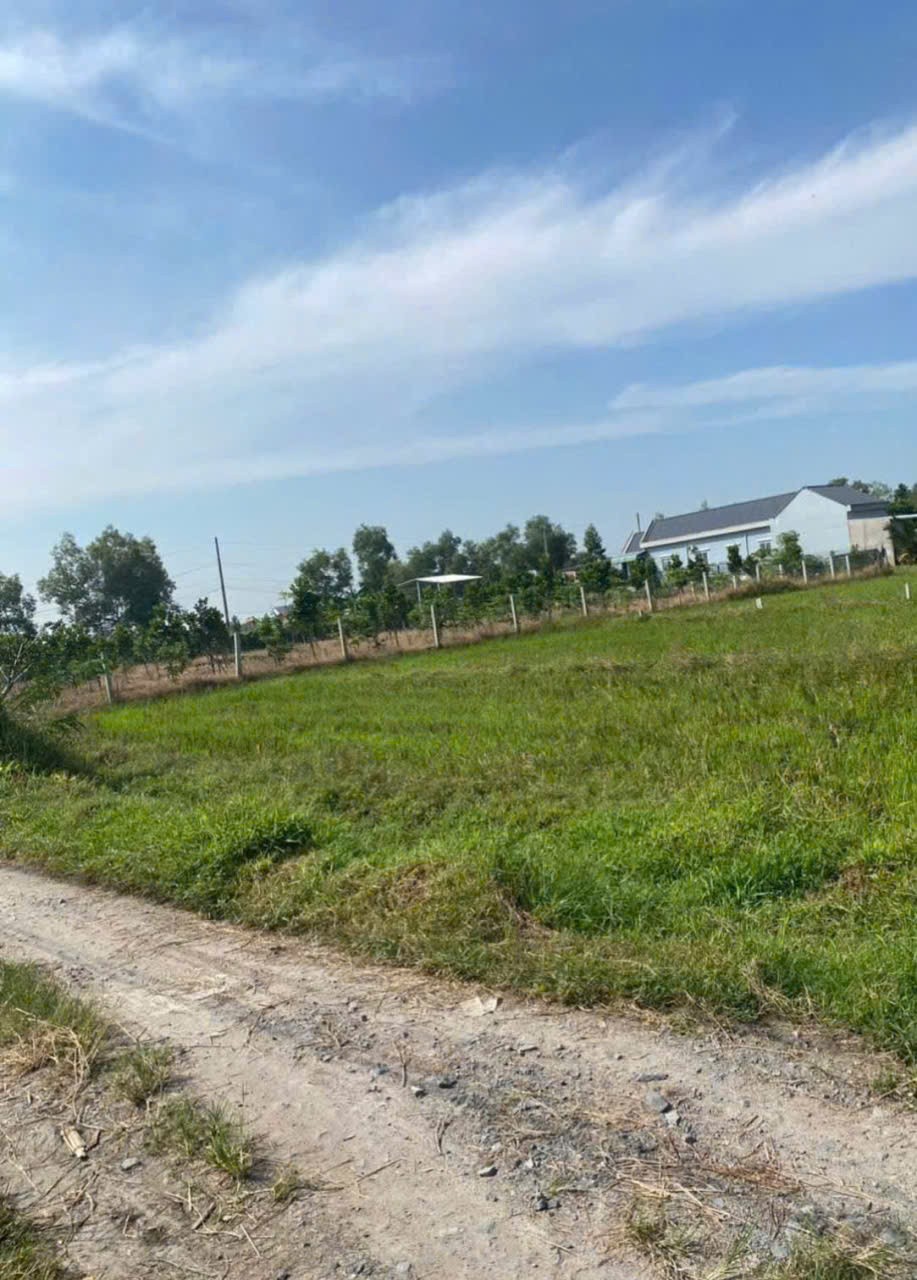 Bán đất thổ cư xã Mỹ Hạnh Bắc , Đức Hòa dt 240m2 giá 1,2 tỷ