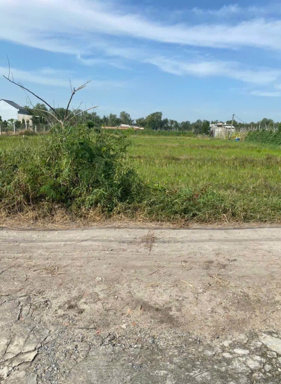 Bán đất thổ cư xã Mỹ Hạnh Bắc , Đức Hòa dt 240m2 giá 1,2 tỷ 3