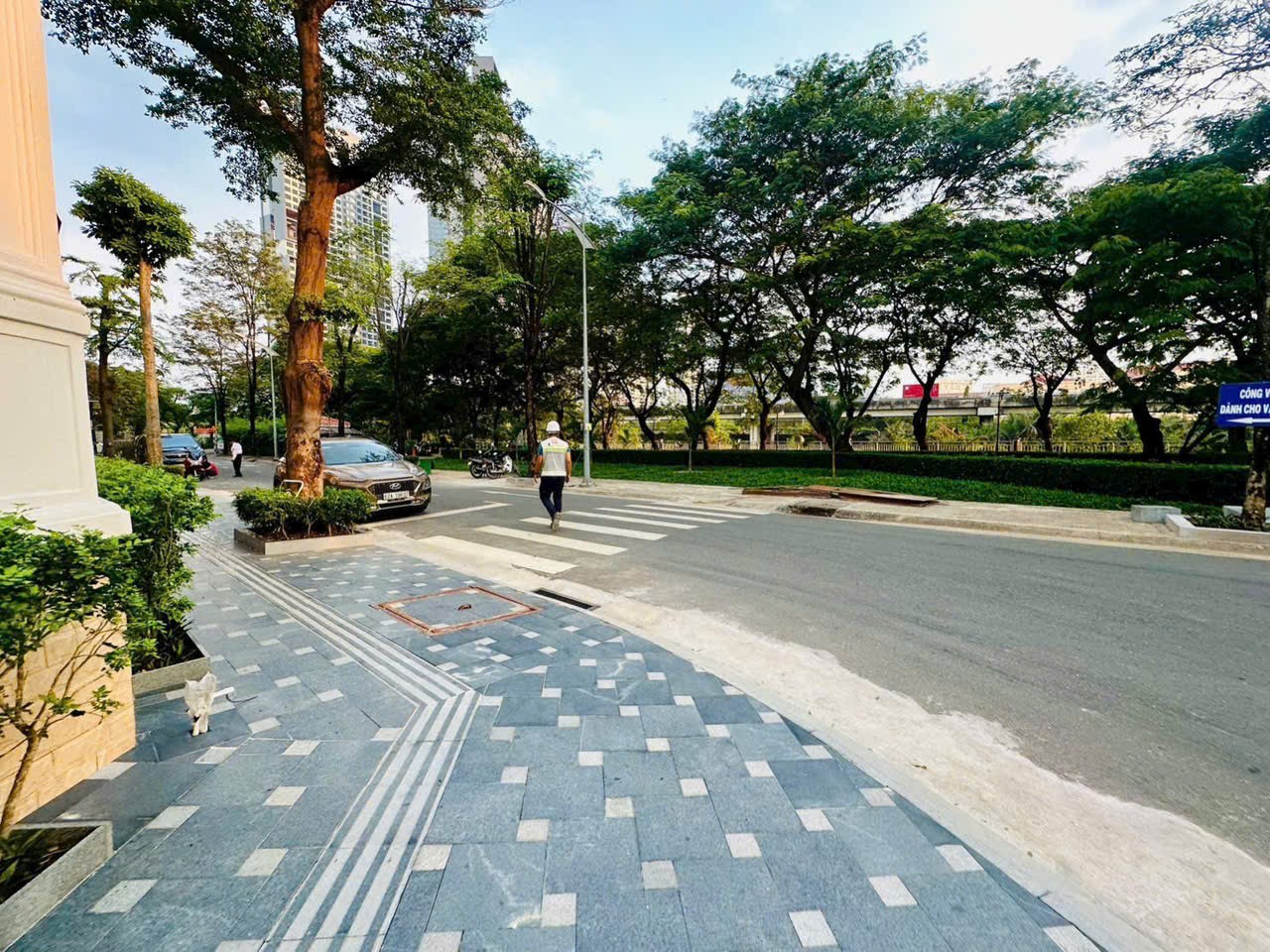 Cho thuê Biệt thự Quận 7, Hồ Chí Minh, Diện tích 329m², Giá 0100 Triệu/tháng 2