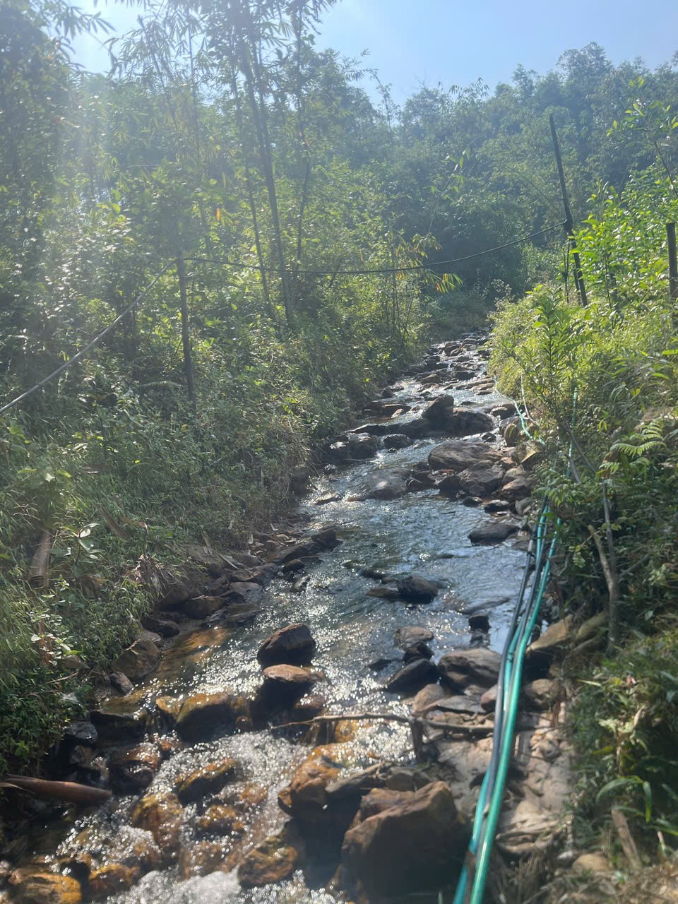 Cần bán Đất Xã Mỹ Lung, Yên Lập, Diện tích 4000m², Giá Thương lượng