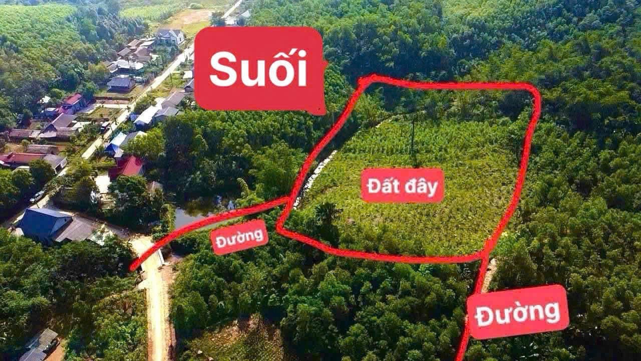 Cần bán Đất Xã Mỹ Lung, Yên Lập, Diện tích 4000m², Giá Thương lượng 2