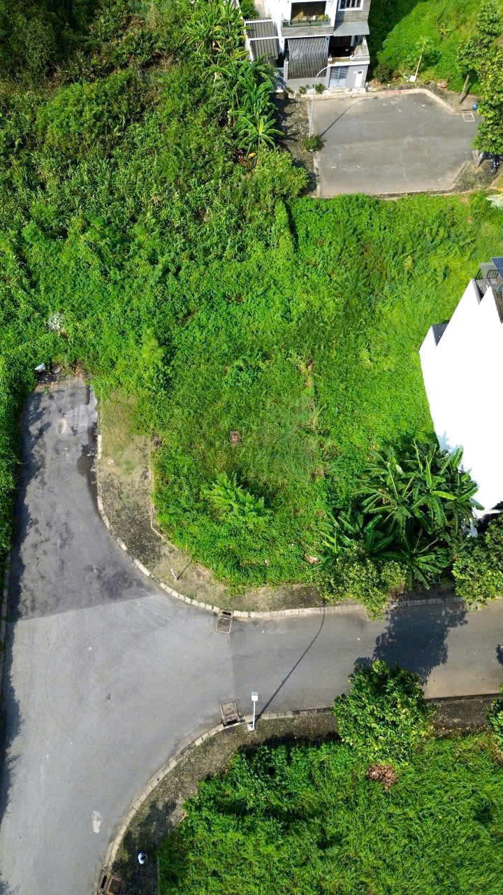 Cần bán Đất Quận 9, Hồ Chí Minh, Diện tích 221m², Giá 95 Triệu/m² 3