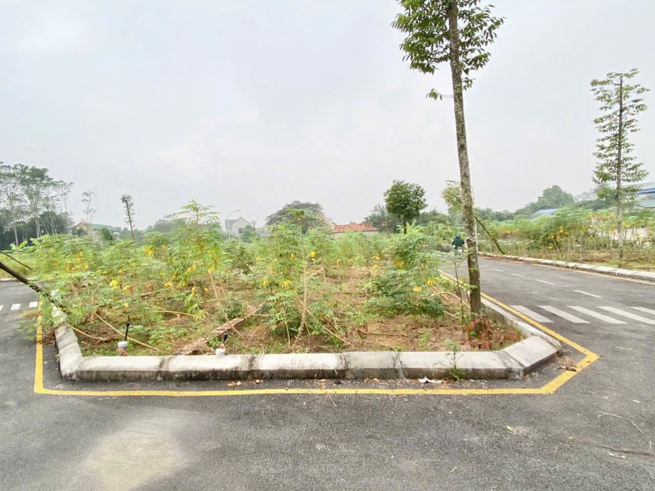 Gia đình cần tiền bán lô 60,7m lô góc sen trì bán nhanh giá mềm 4