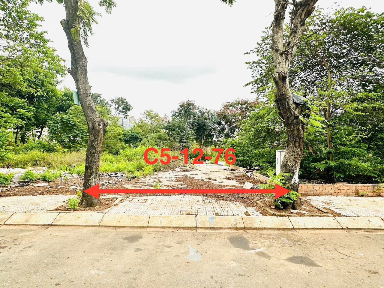 Cần bán Đất Phường Cát Lái, Quận 2, Diện tích 109m², Giá 70 Triệu/m² 2