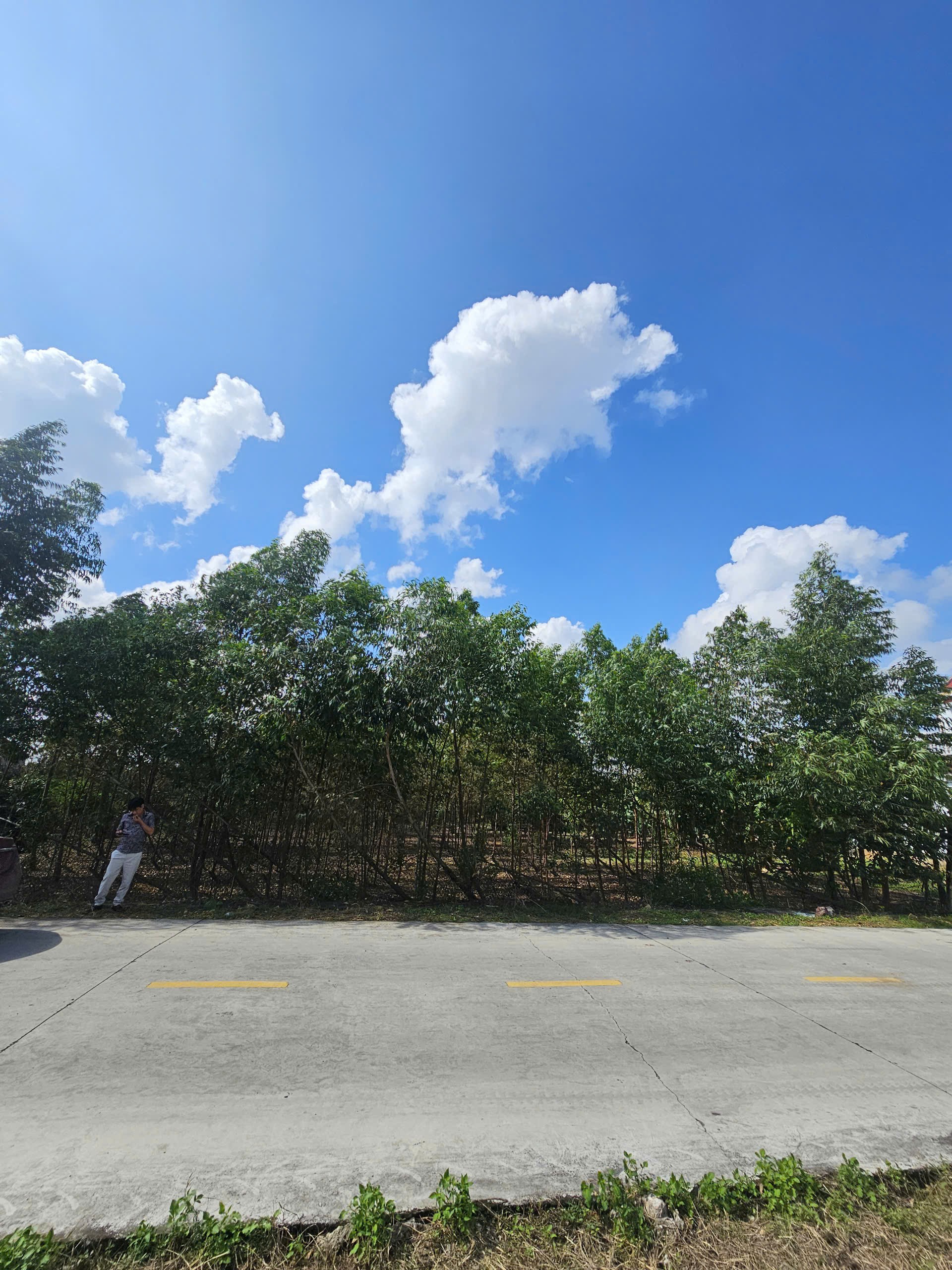 Cần bán Đất Xã Hoàng Tiến, Chí Linh, Diện tích 2500m², Giá 34 Triệu/m²