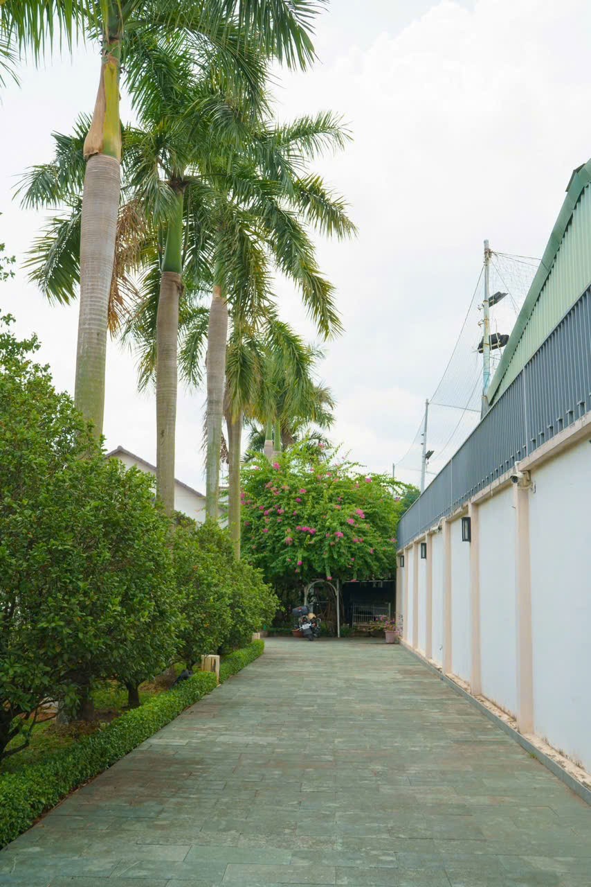 BIỆT THỰ VƯỜN VIP 1.300M² FULL THỔ – HẺM XE HƠI TÔ NGỌC VÂN, THẠNH XUÂN, Q12! 2