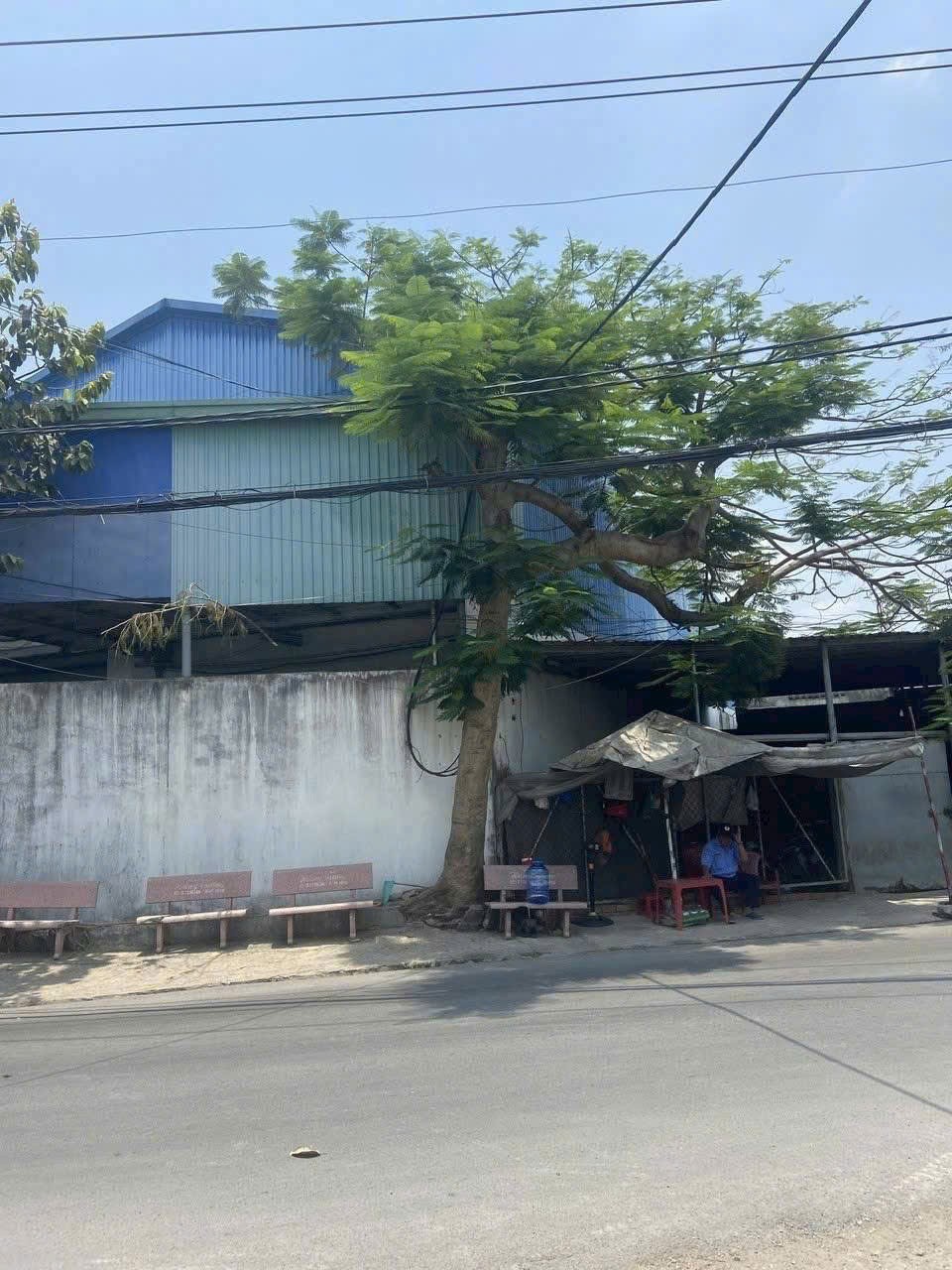 NHÀ XƯỞNG (14x40) MẶT TIỀN 1/ DƯƠNG CÔNG KHI, XUÂN THỚI THƯỢNG, HÓC MÔN! 4