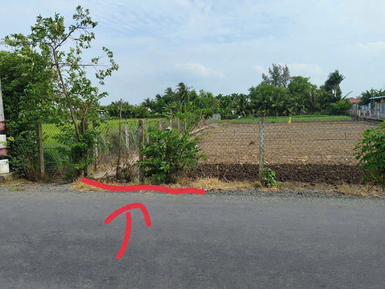 Bán đất thổ cư mặt tiền Liên Xã Long Khê - Phước Vân , xã Phước Vân dt 150m2 giá 1,6 tỷ 3