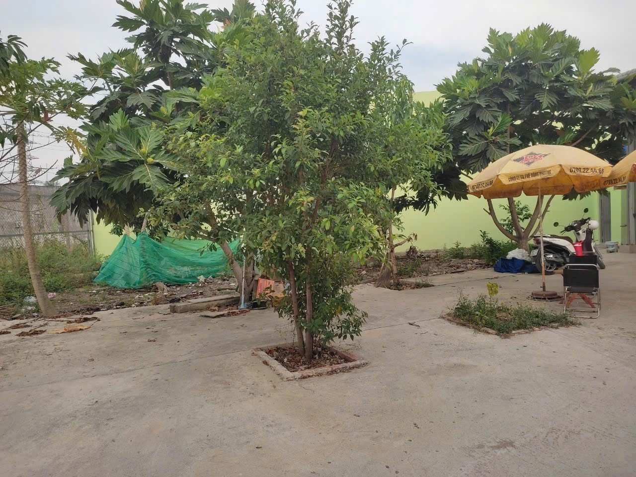 Bán nhà măt tiền Thạnh Đức, Bến Lức tdt 974m2 ( 300m2 thổ ) giá 4,9 tỷ 10