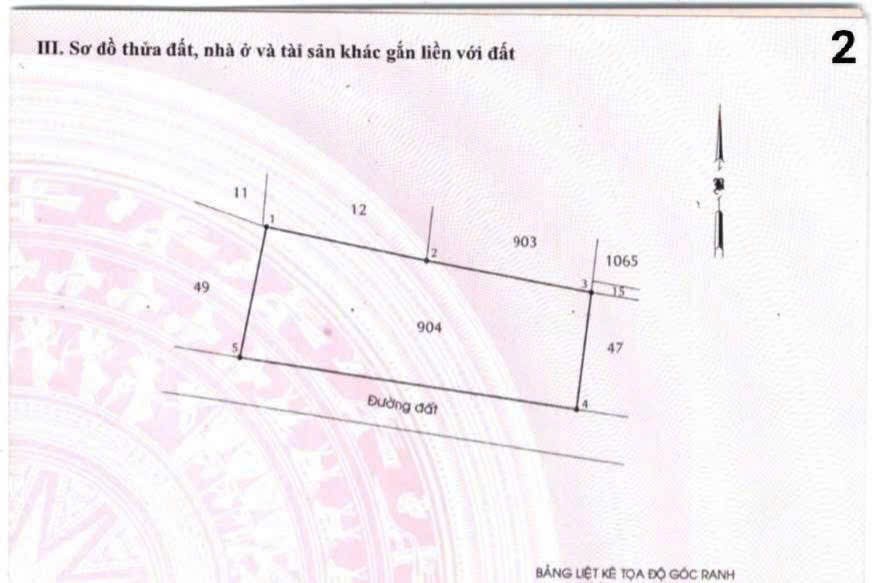ĐẤT LÚA QUY HOẠCH KDC ĐƯỜNG 7M BÀ ĐIỂM MỚI MT RỘNG – QUỸ ĐẤT KHỦNG CHỈ 12TR/M² 2