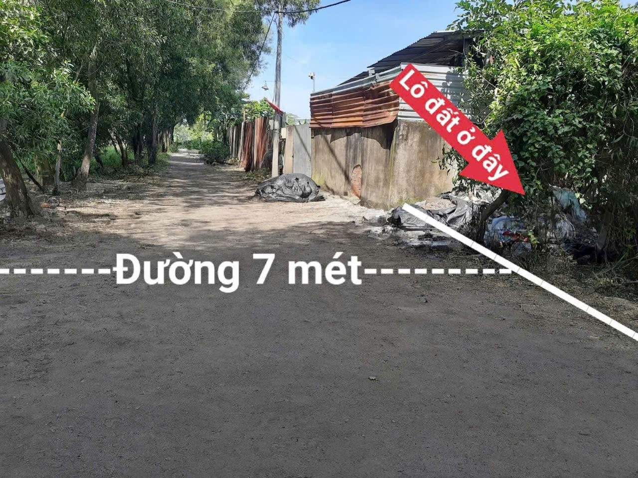 ĐẤT LÚA QUY HOẠCH KDC ĐƯỜNG 7M BÀ ĐIỂM MỚI MT RỘNG – QUỸ ĐẤT KHỦNG CHỈ 12TR/M² 3