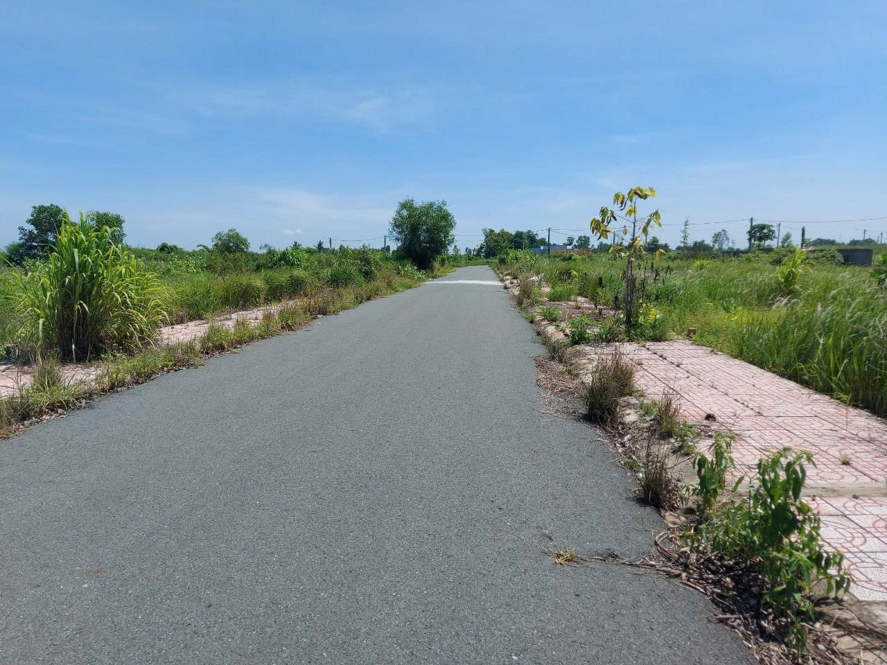 Đất nền 85m2 kdc Tân Lân 5 Hiệp giá rẻ đầu tư 750tr 4