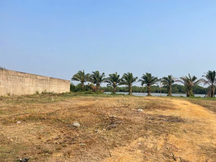 Cần bán Đất Phường Trường Thạnh, Quận 9, Diện tích 1800m², Giá 40 Triệu/m² 3