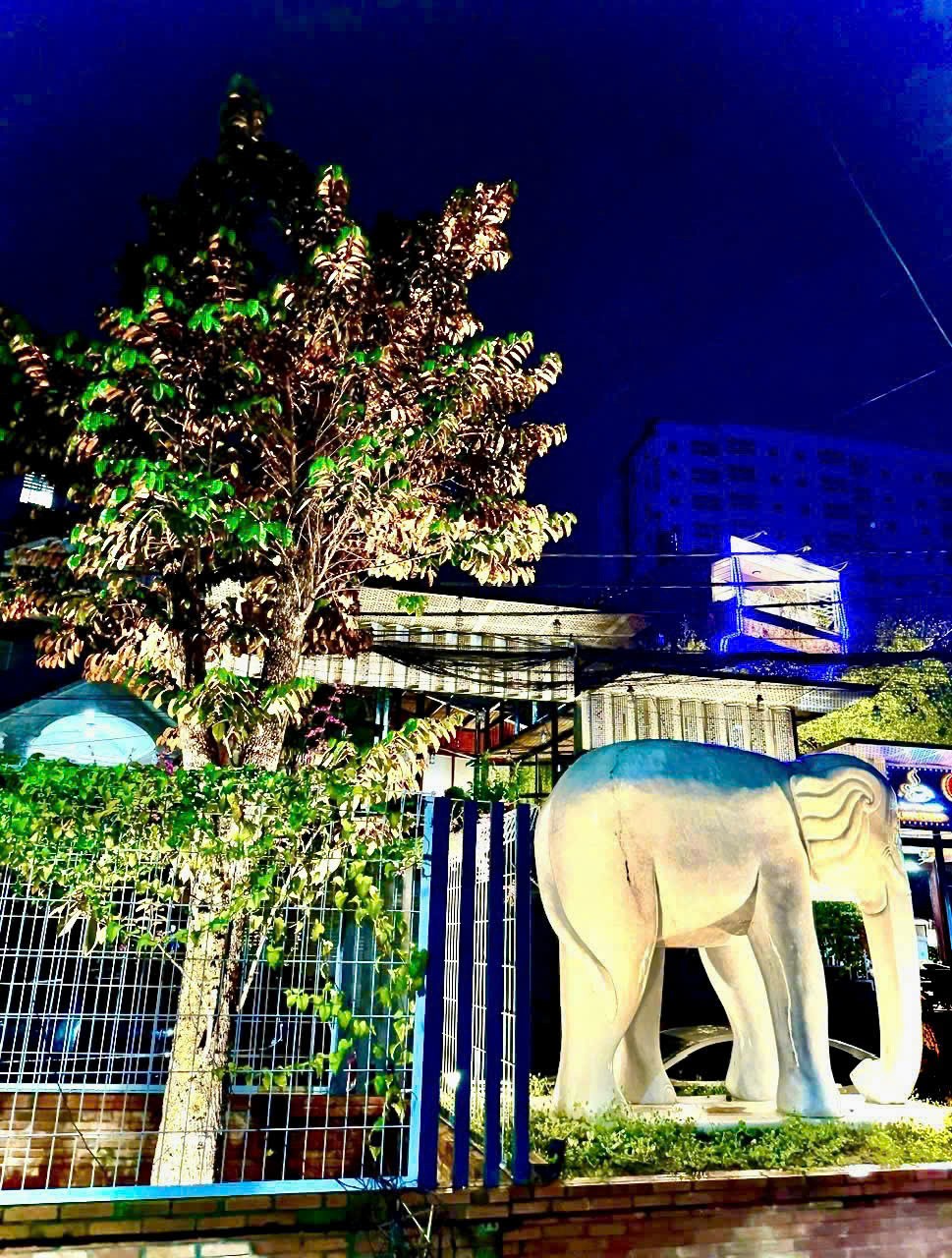 Cần bán Biệt thự Phường Linh Xuân, Thủ Đức, Diện tích 374m², Giá 13 Tỷ 10