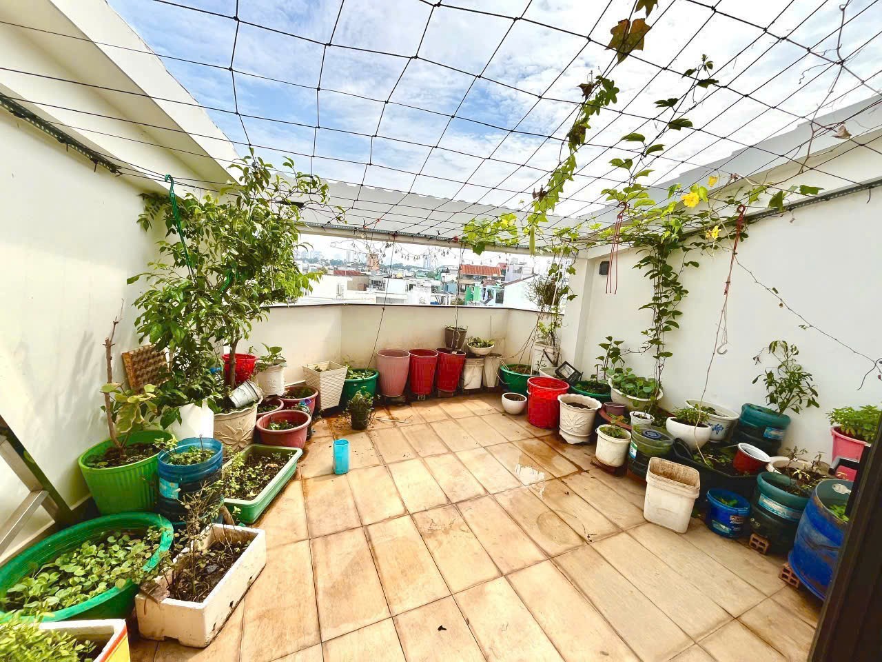 Nhà 3 mặt tiền mặt tiền Lý Thánh Tông, p Hiệp Tân dt 70m2 , 3 lầu , 4pn , 4wc giá 13 tỷ 14