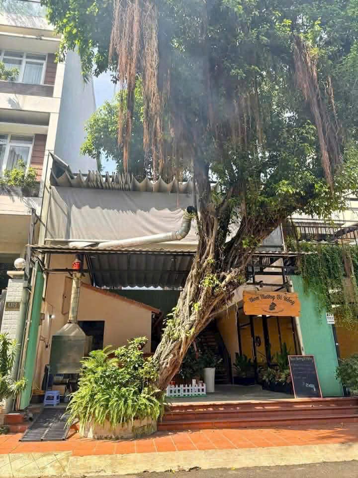 Cần bán Đất Phường An Khánh, Quận 2, Diện tích 181m², Giá 060 Tỷ 4