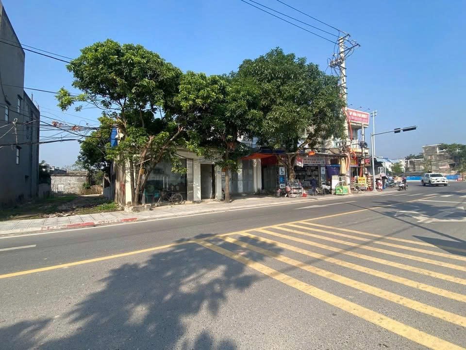 Cần bán Đất Thị trấn Quất Lâm, Giao Thủy, Diện tích 82m², Giá 1,3 Tỷ