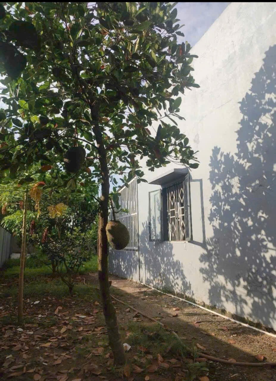 Bán nhà vườn xã Đức Hòa Thượng tdt 380m2 ( dtxd nhà 100m2) , 2pn ,1wc giá 2,6 tỷ 7