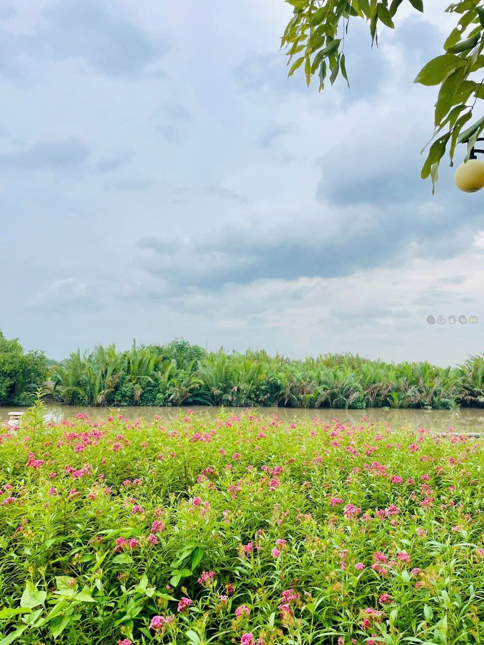 Cần bán Nhà mặt tiền Phường Phước Long B, Quận 9, Diện tích 75m², Giá 14.5 Tỷ 5