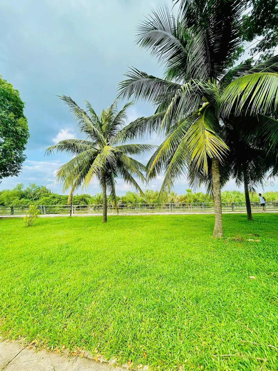 Cần bán Nhà mặt tiền Phường Phước Long B, Quận 9, Diện tích 75m², Giá 14.5 Tỷ 6