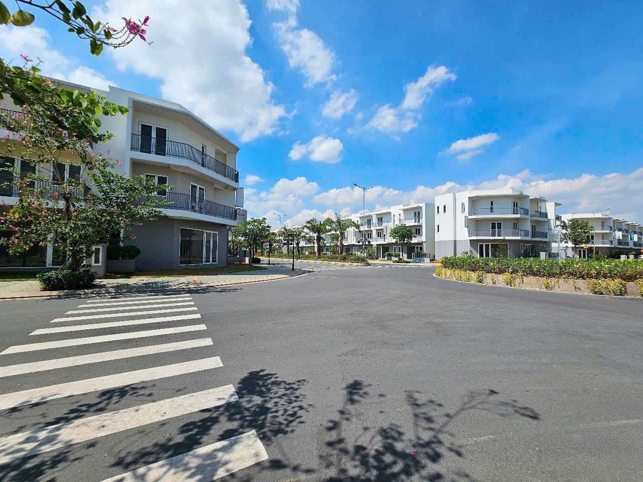 Cần bán Nhà mặt tiền Phường Phú Hữu, Quận 9, Diện tích 225m², Giá 8.7 Tỷ