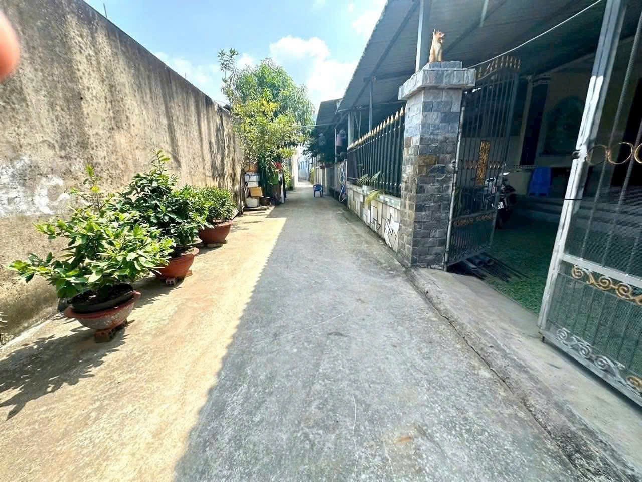 Bán đất thổ cư xã Thanh Phú , Bến Lức dt 144m2 giá 1,85 tỷ 3