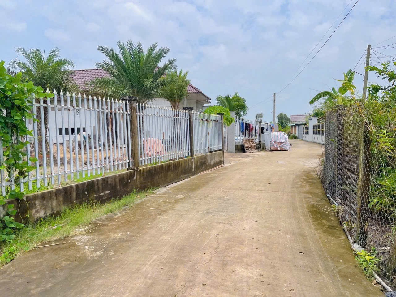 Bán đất thổ cư đường beton 5m xã Long Cang, Cần Đước dt 140m2 giá 1,2 tỷ 3